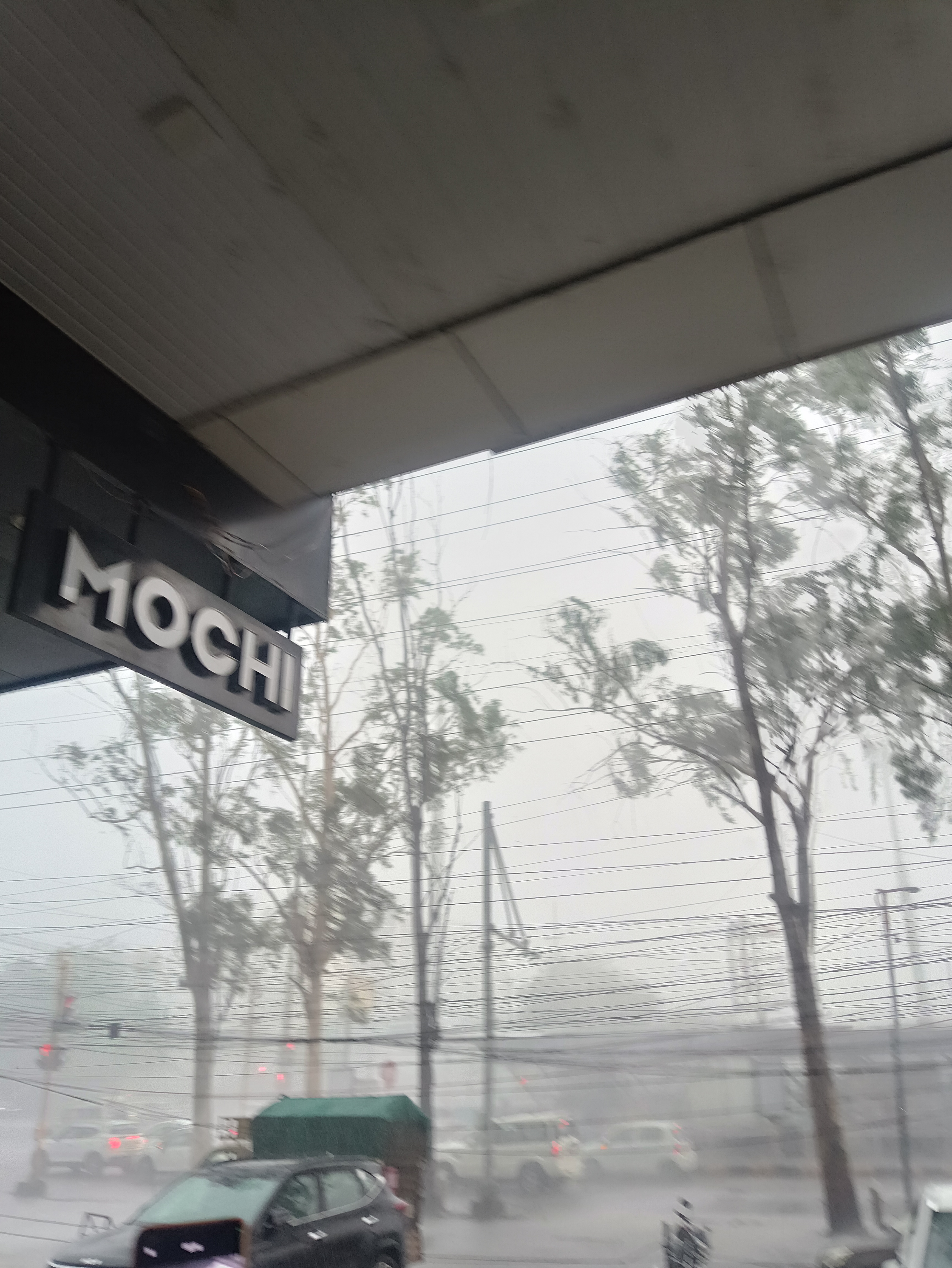 Rdgf